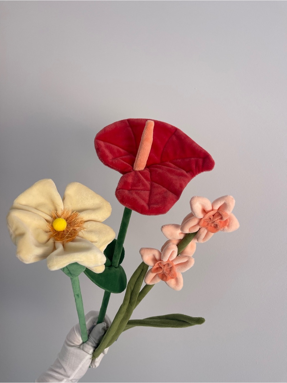 CJ Hendry Point Dume Malibu Flower Market Bundle